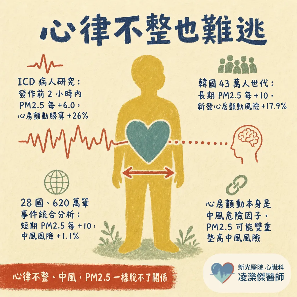 空氣品質亮紅燈:PM2.5 怎麼傷心血管,紫爆天心臟病人怎麼自保 圖卡 5