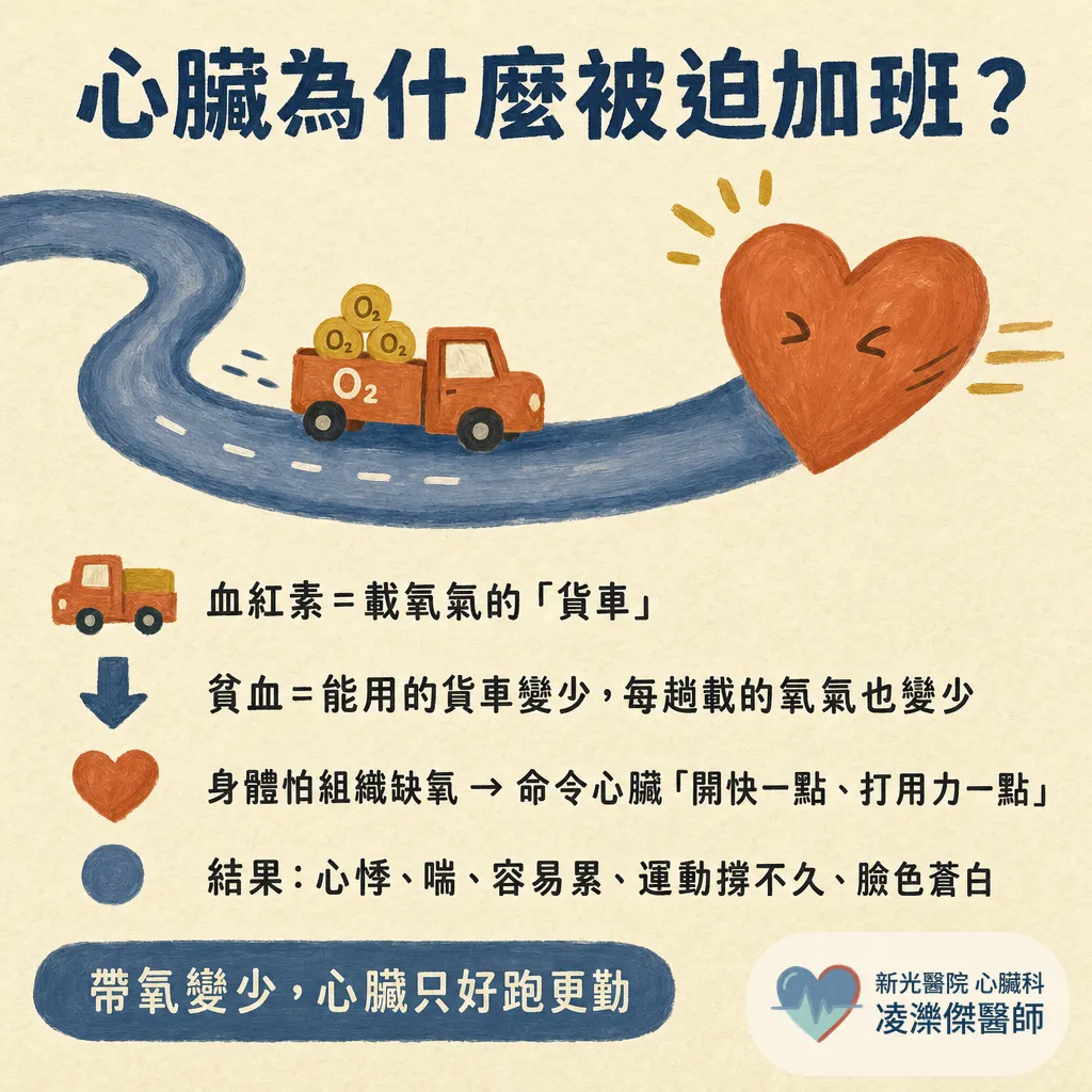 體力變差、胸悶……竟然是貧血? 圖卡 2