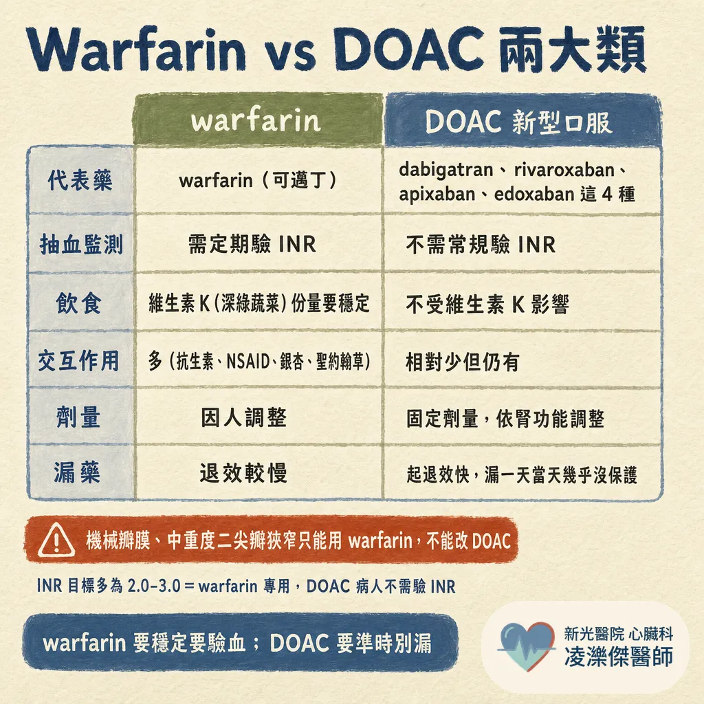 吃抗凝血藥要注意什麼？規律吃、別亂停、看得懂出血警訊 圖卡 3