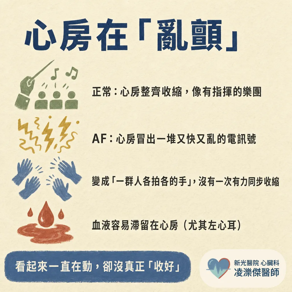 心房顫動是什麼?症狀、中風風險與治療一次看懂 圖卡 2