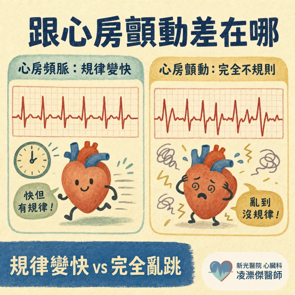 心房頻脈是什麼?認識這種心跳突然變快的心律不整 圖卡 3