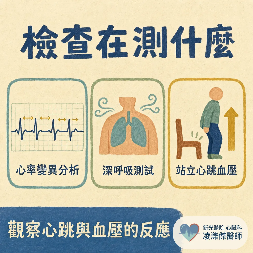 什麼是自律神經活性檢查？醫師為什麼安排我做這個 圖卡 3