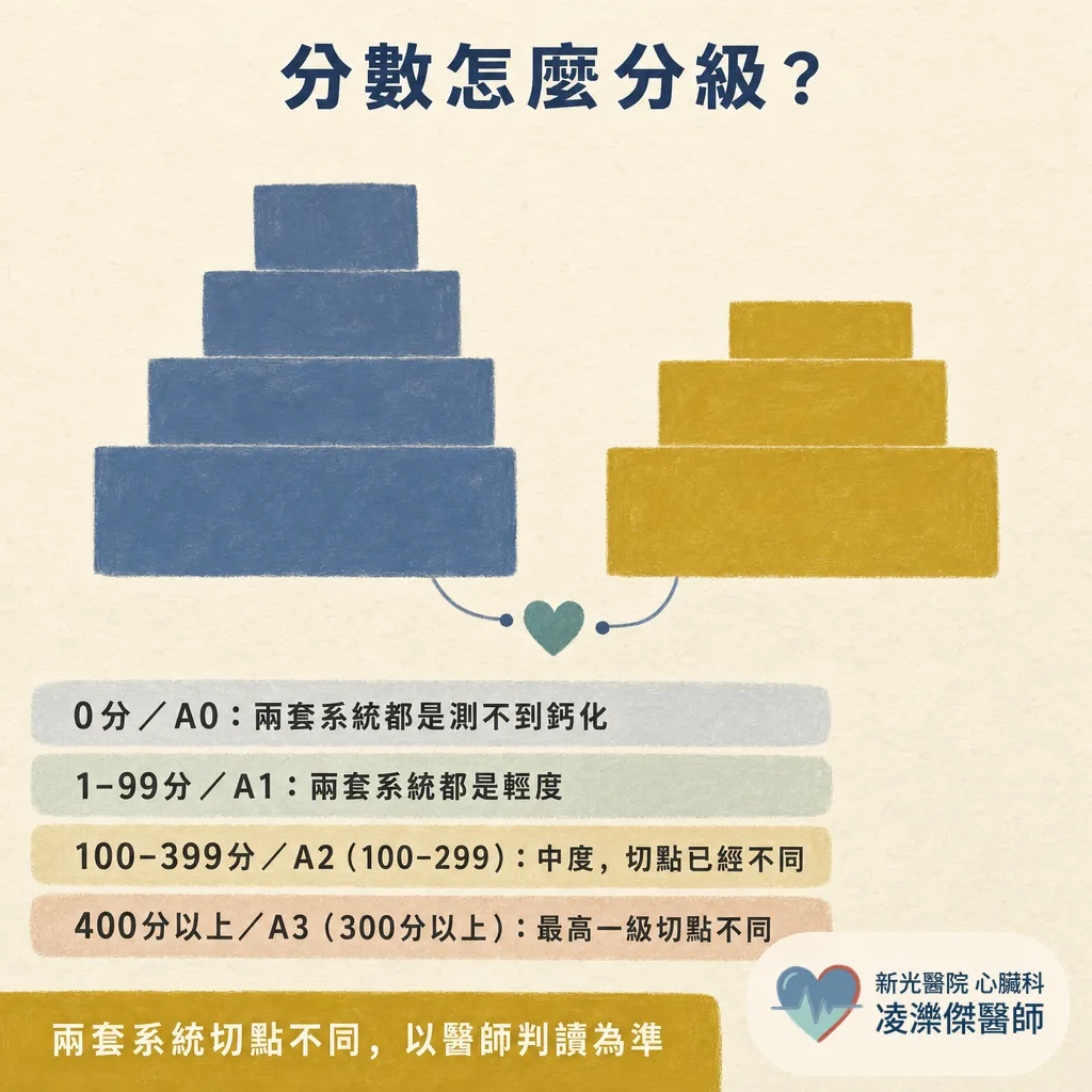 冠狀動脈鈣化積分（CAC）是什麼？健檢報告的分數怎麼看、多少要看醫師、和 CTA 差在哪 圖卡 4