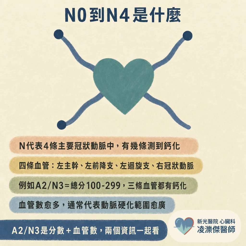 冠狀動脈鈣化積分(CAC)是什麼?健檢報告的分數怎麼看、多少要看醫師、和 CTA 差在哪 圖卡 5