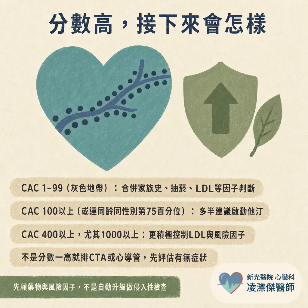 冠狀動脈鈣化積分(CAC)是什麼?健檢報告的分數怎麼看、多少要看醫師、和 CTA 差在哪 圖卡 9