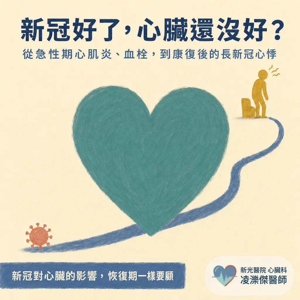 新冠病毒與心臟:急性期心肌炎、血栓,到康復後的長新冠心悸 圖卡 1