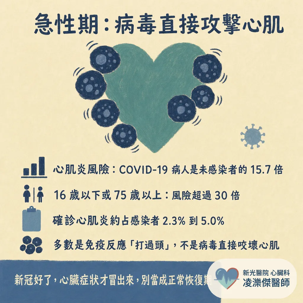 新冠病毒與心臟:急性期心肌炎、血栓,到康復後的長新冠心悸 圖卡 2