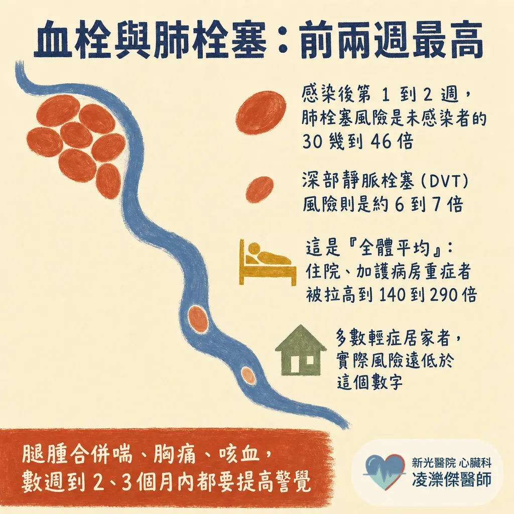 新冠病毒與心臟:急性期心肌炎、血栓,到康復後的長新冠心悸 圖卡 3