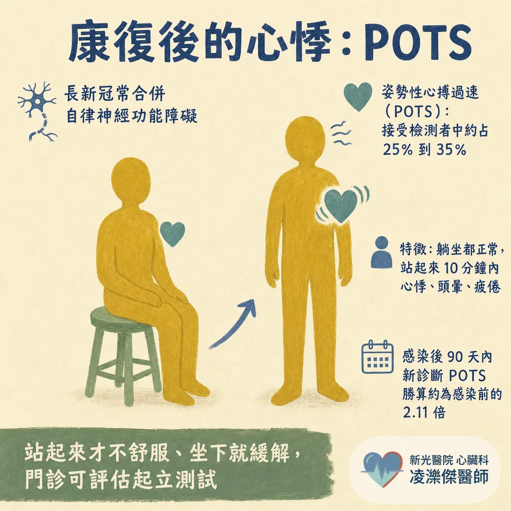 新冠病毒與心臟：急性期心肌炎、血栓，到康復後的長新冠心悸 圖卡 4