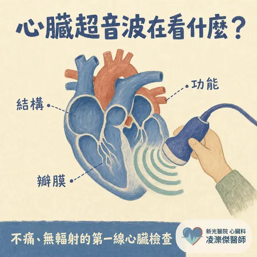 心臟超音波在看什麼？檢查流程、射出分率EF、瓣膜逆流一次搞懂