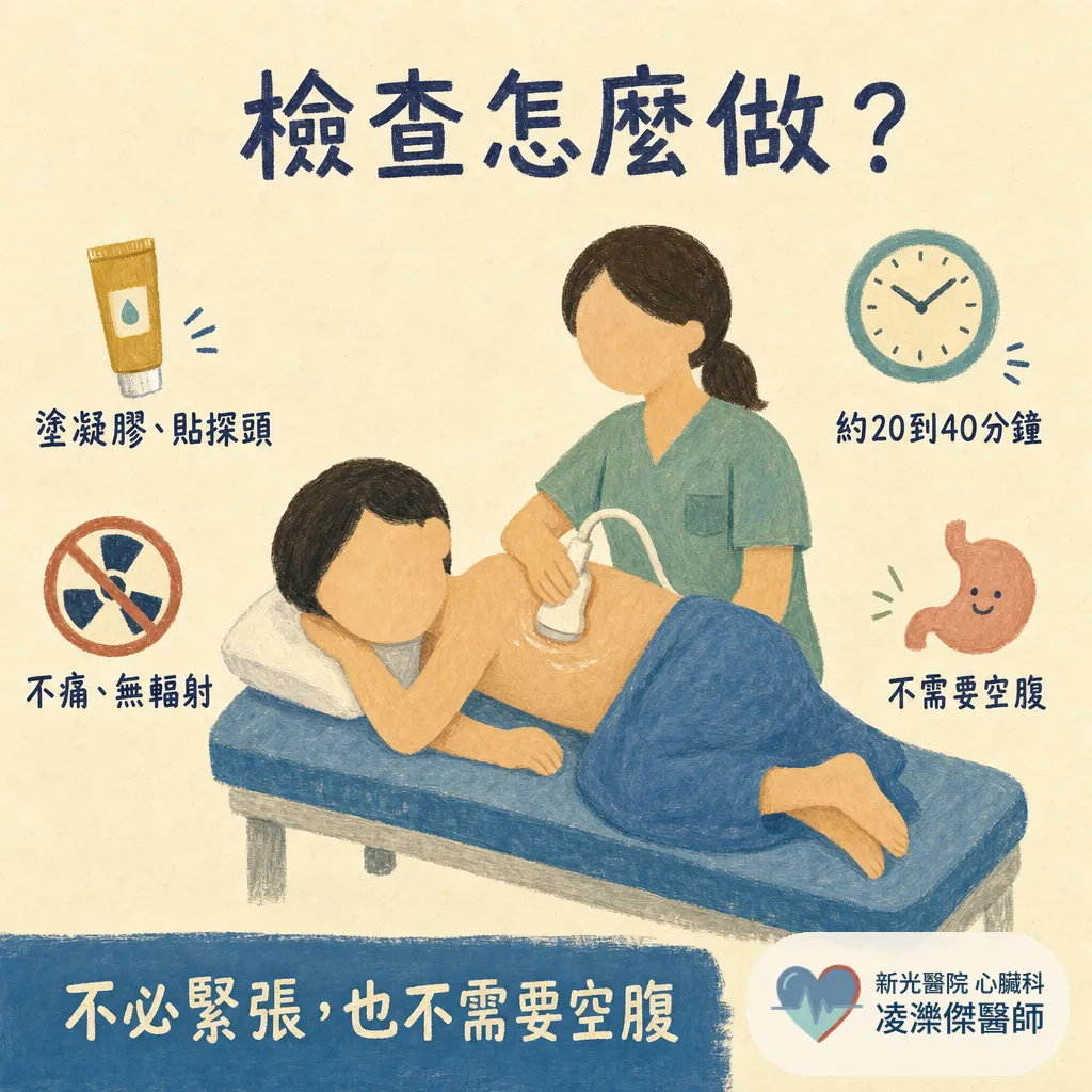 心臟超音波在看什麼？檢查流程、射出分率EF、瓣膜逆流一次搞懂 圖卡 2