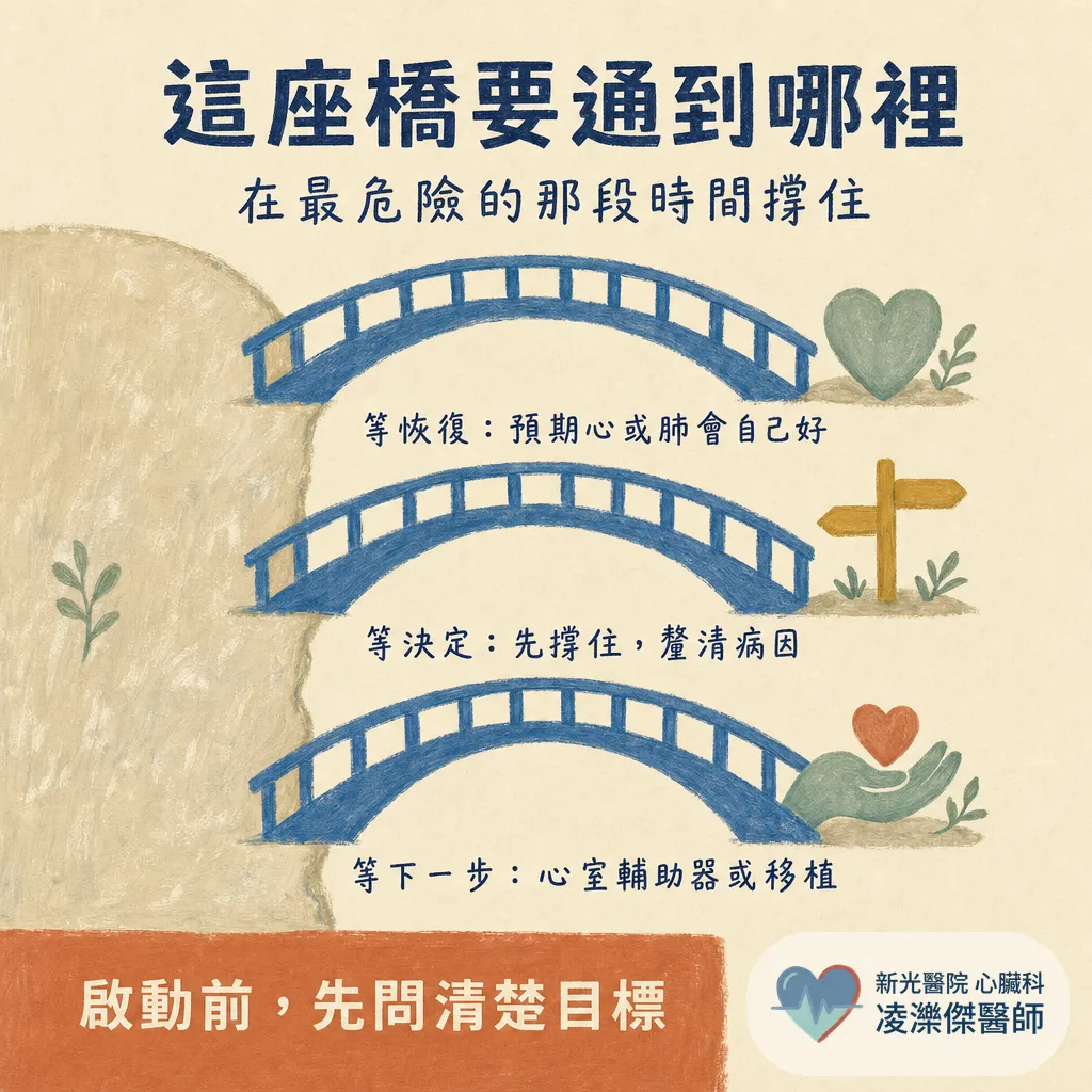 葉克膜(ECMO)是什麼?為什麼它不是一種「治療」,能做什麼、不能做什麼 圖卡 4