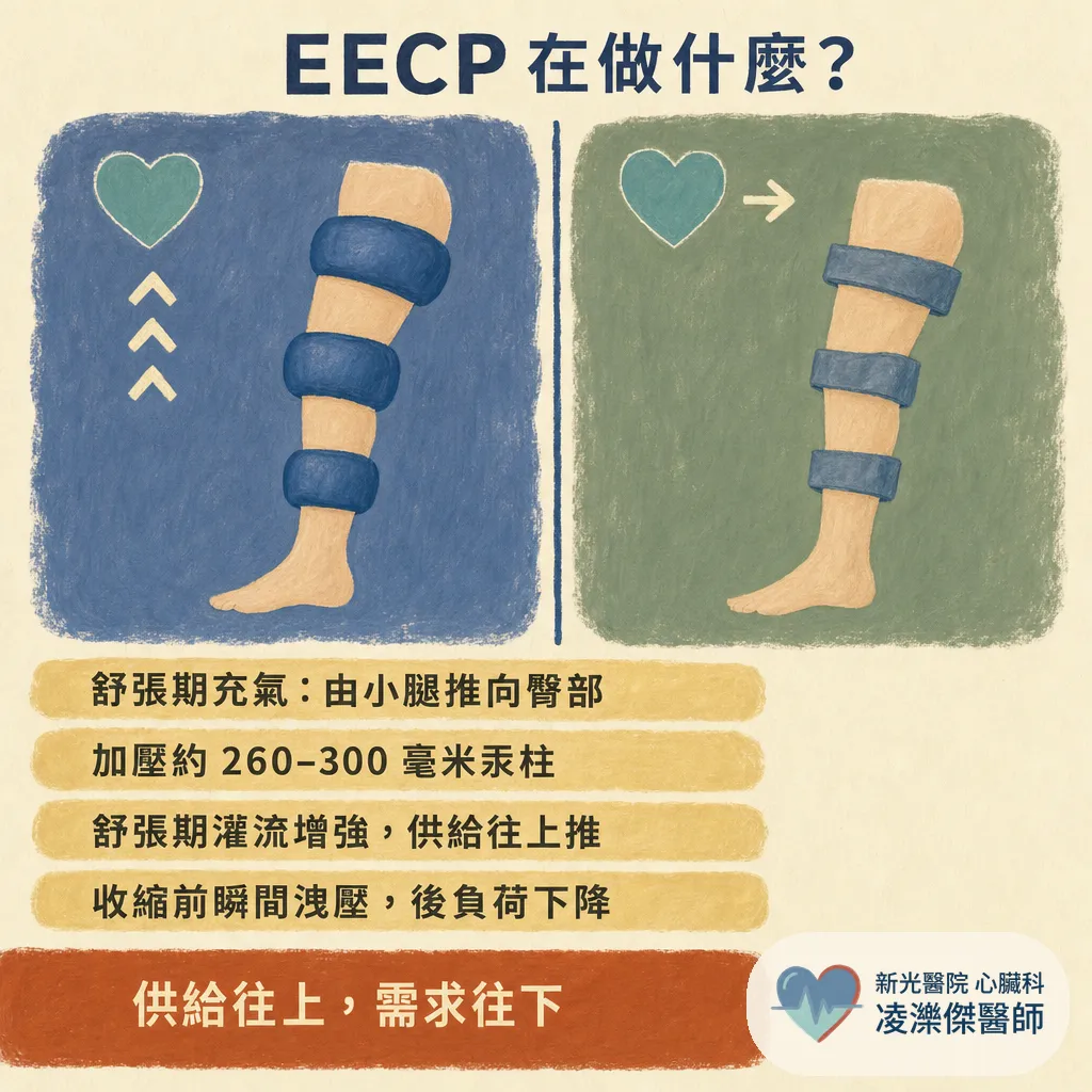 EECP（增強型體外反搏）是什麼？能不能取代支架？心臟科醫師談它幫得上什麼忙 圖卡 2