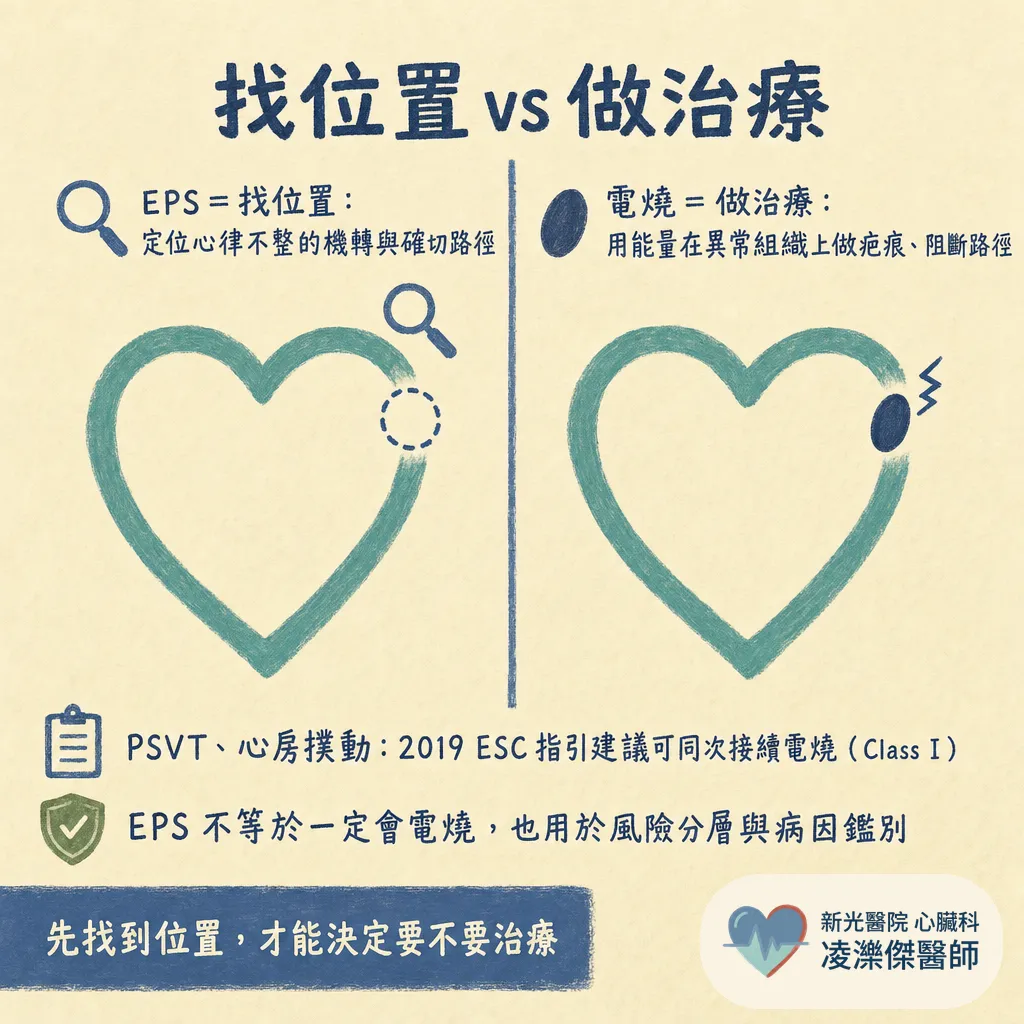 心臟電生理檢查（EPS）會痛嗎？多久、要不要住院，和電燒差在哪 圖卡 2