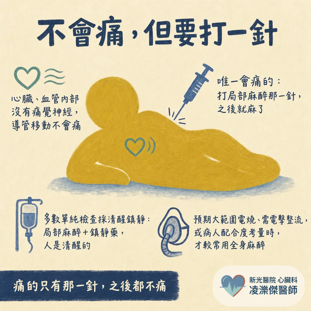 心臟電生理檢查(EPS)會痛嗎?多久、要不要住院,和電燒差在哪 圖卡 3