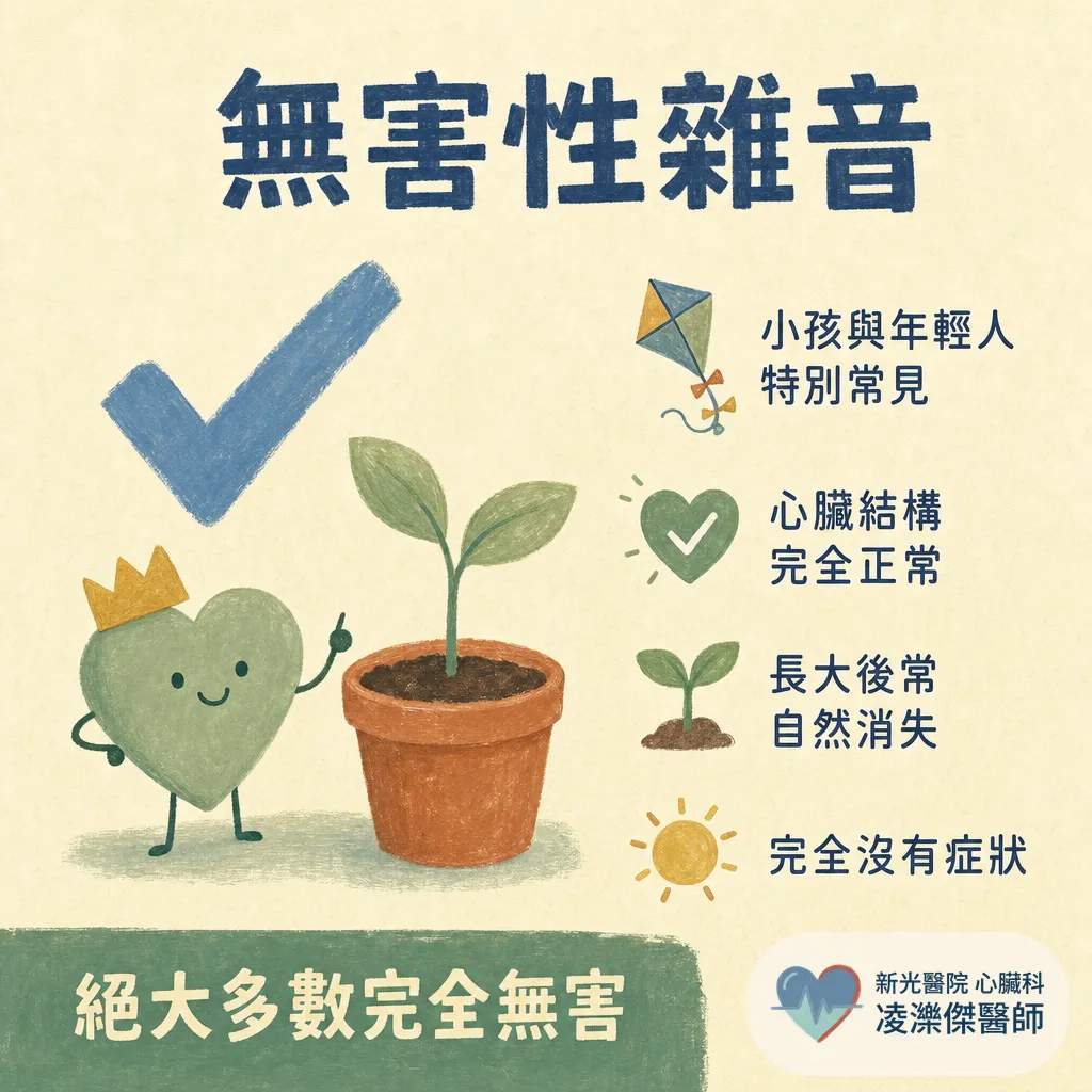 心雜音是什麼?健檢聽到心雜音一定有問題嗎?醫師教你分辨無害與警訊 圖卡 3