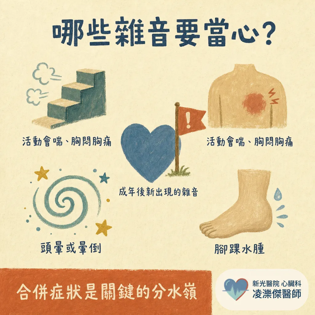 心雜音是什麼?健檢聽到心雜音一定有問題嗎?醫師教你分辨無害與警訊 圖卡 4