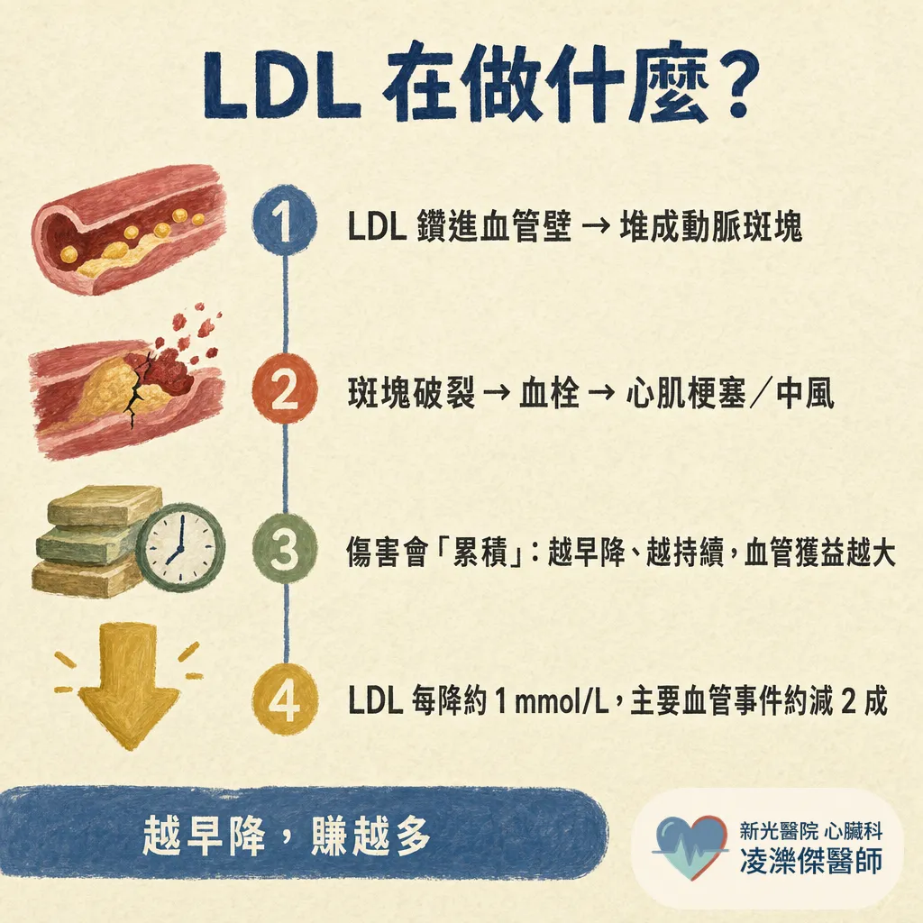 高血脂是什麼？一定要治療嗎？ 圖卡 3