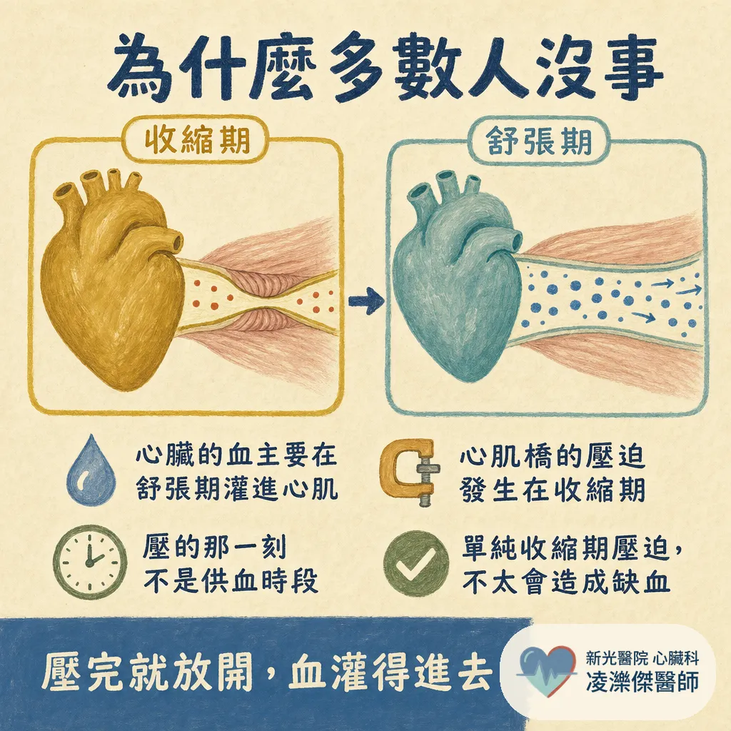 健檢報告出現「心肌橋」，該擔心嗎？心肌橋是什麼、要不要治療一次看懂 圖卡 3