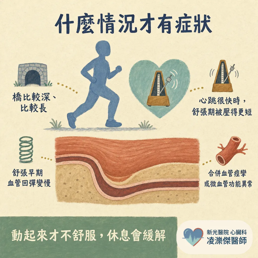 健檢報告出現「心肌橋」,該擔心嗎?心肌橋是什麼、要不要治療一次看懂 圖卡 4