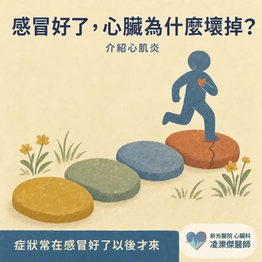 感冒好了，心臟為什麼壞掉？認識心肌炎：症狀、診斷與急性期休息期程