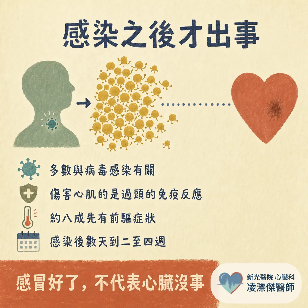 感冒好了,心臟為什麼壞掉?認識心肌炎:症狀、診斷與急性期休息期程 圖卡 2