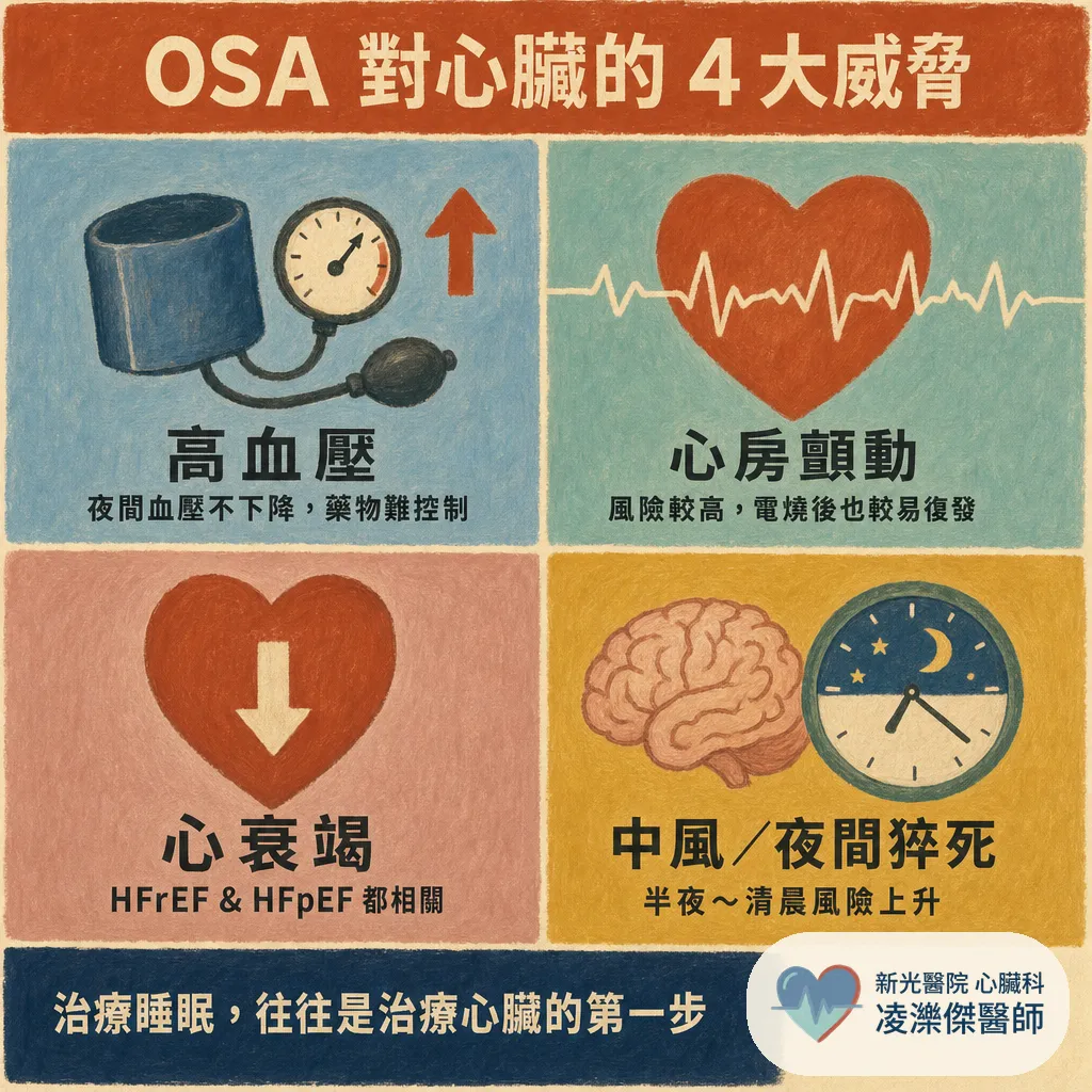 打鼾不是小事:睡眠呼吸中止如何推升血壓與心血管風險 圖卡 3