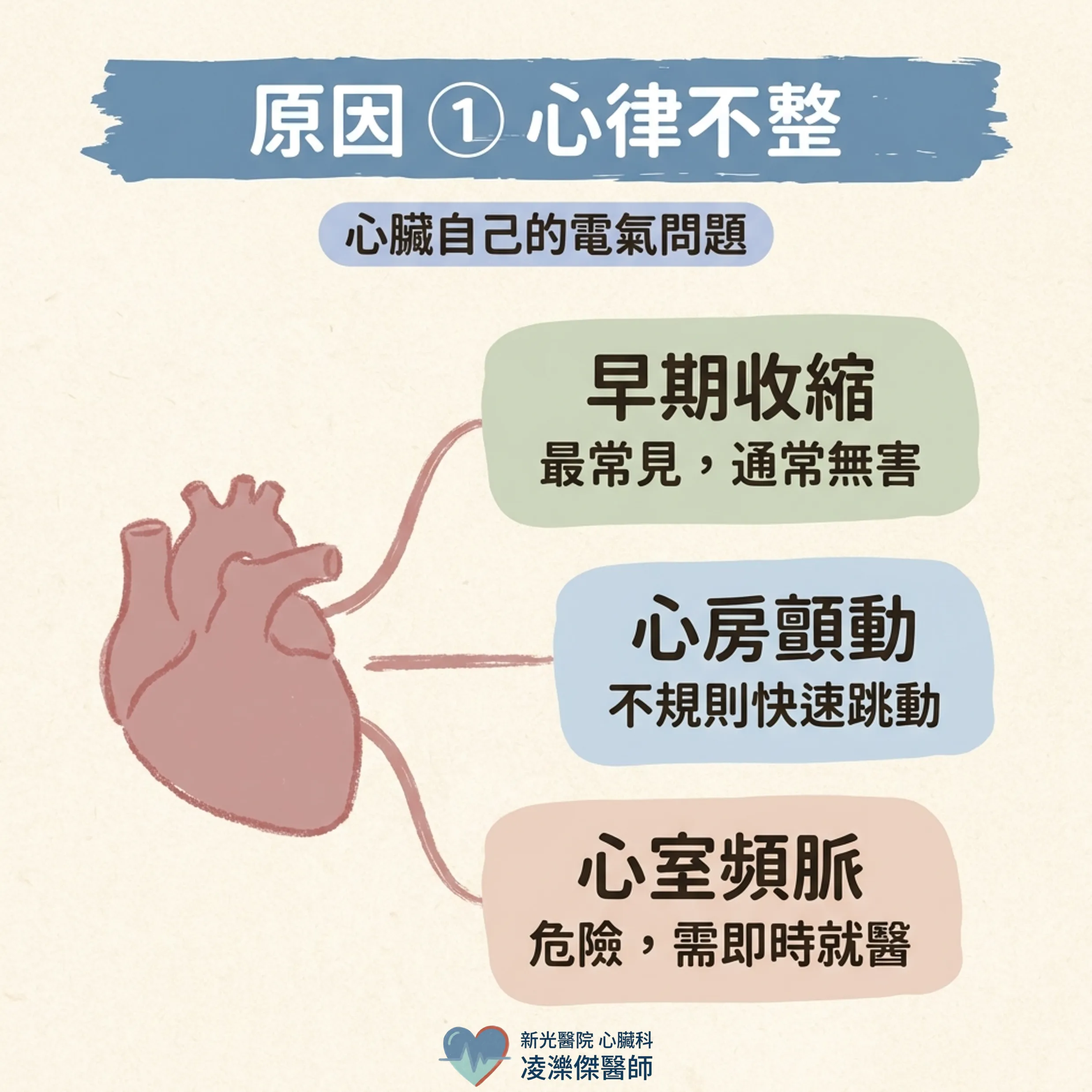 心悸不一定是心臟病：最常見的原因有哪些？ 圖卡 3
