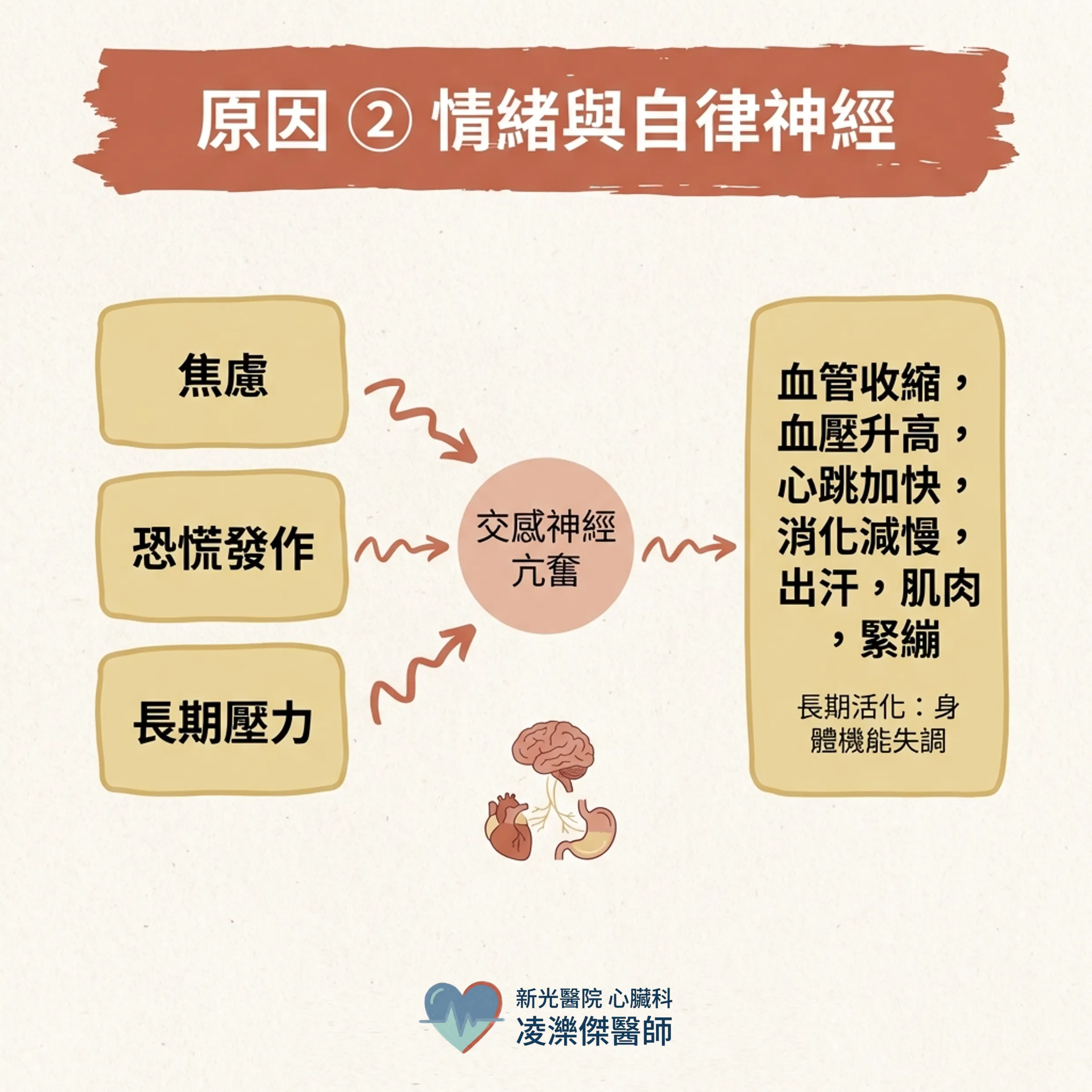 心悸不一定是心臟病:最常見的原因有哪些? 圖卡 4