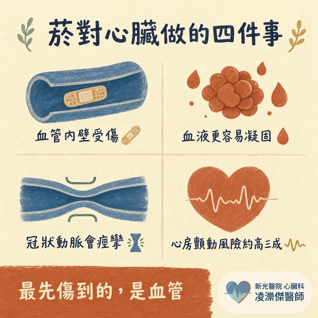 醫師為什麼一直叫我戒菸?抽菸對心臟與血管的傷害、戒菸後的恢復時間軸 圖卡 2