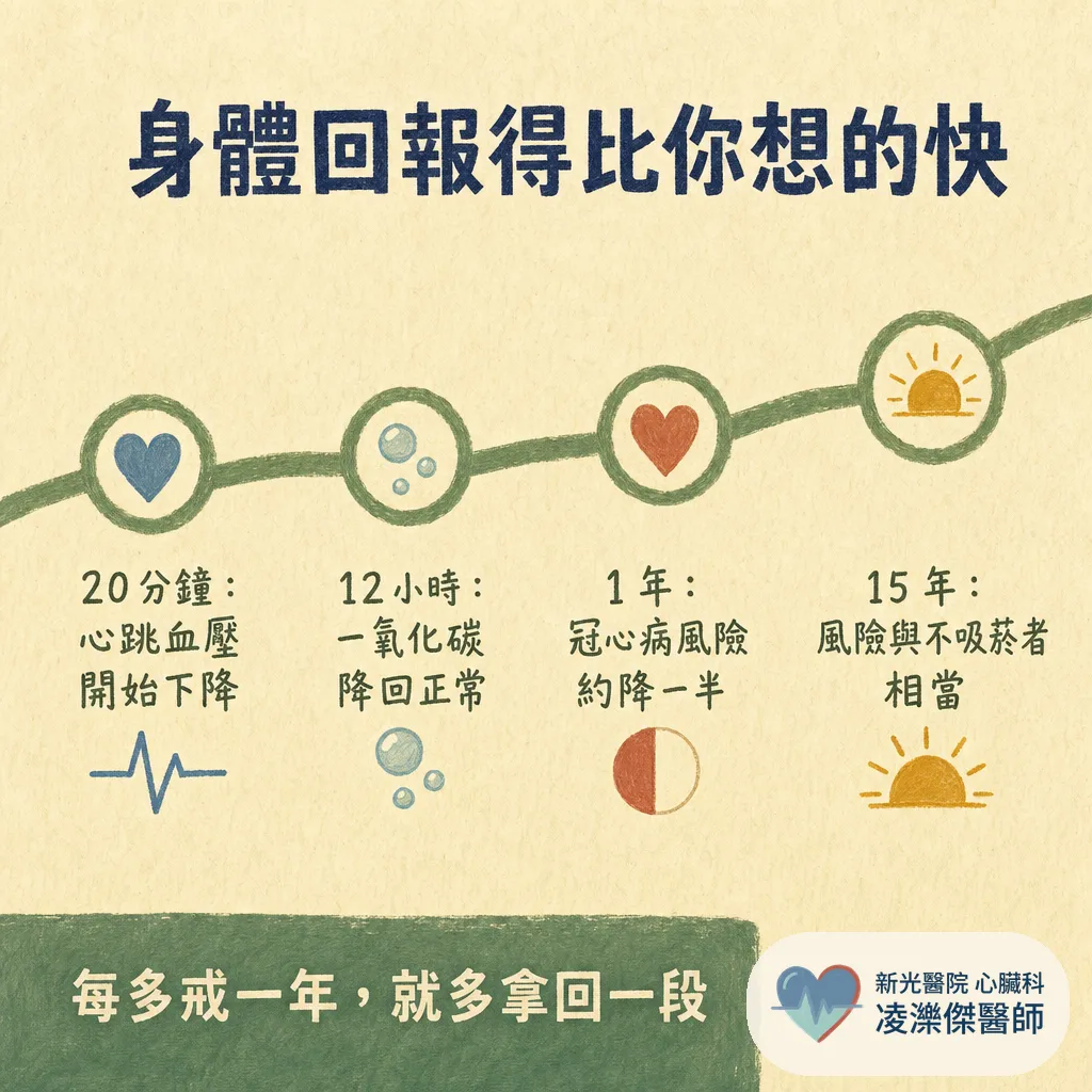 醫師為什麼一直叫我戒菸?抽菸對心臟與血管的傷害、戒菸後的恢復時間軸 圖卡 5