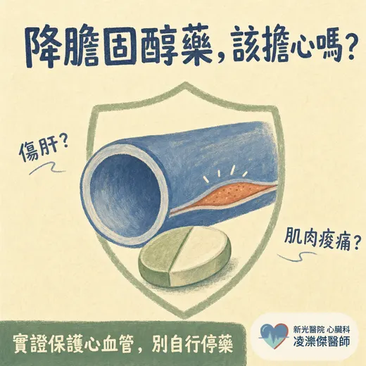 降膽固醇藥（statin）傷肝、肌肉痠痛？膽固醇正常能停藥嗎？醫師一次解答