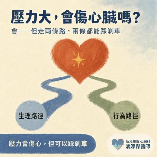 壓力大，心血管風險會增加嗎？