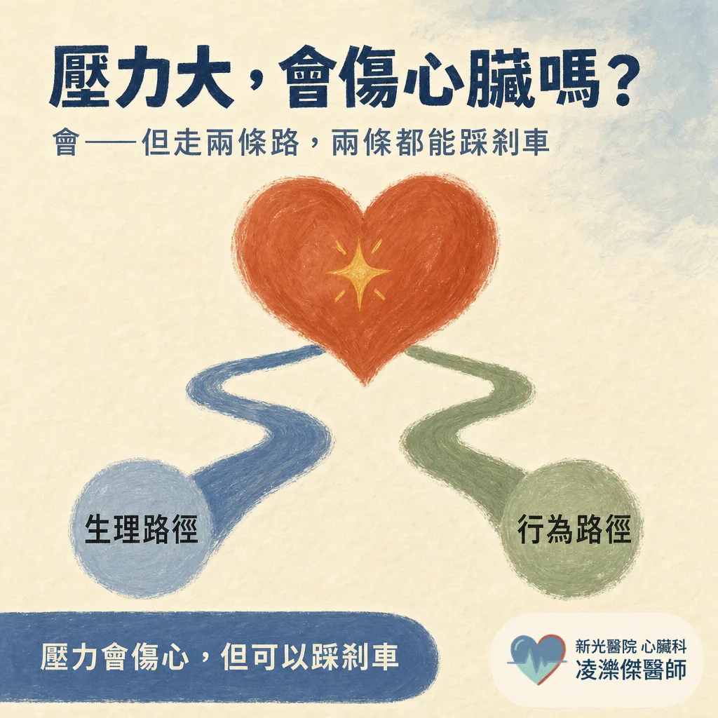 壓力大，心血管風險會增加嗎？ 圖卡 1