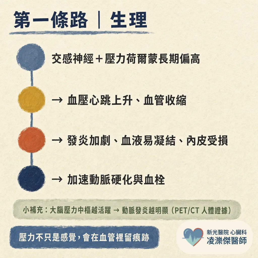 壓力大,心血管風險會增加嗎? 圖卡 2