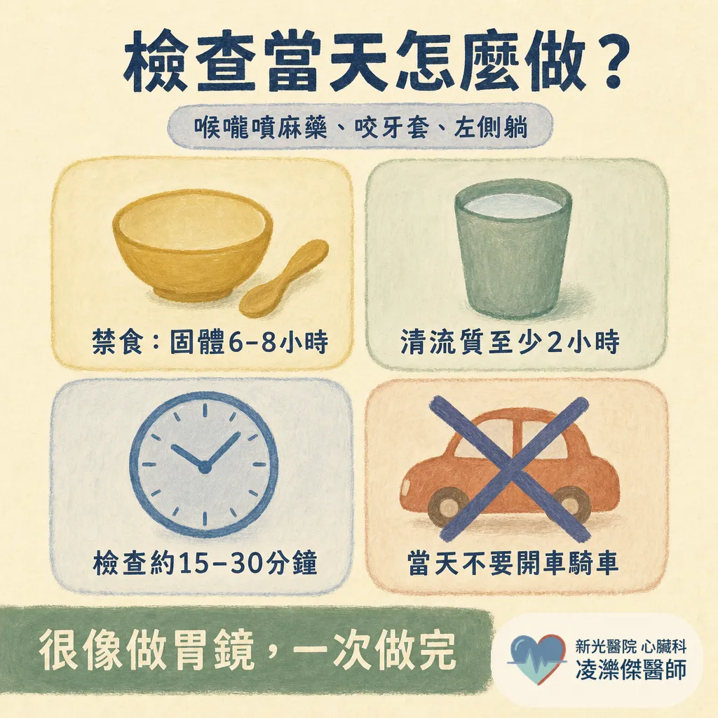 經食道心臟超音波(TEE)會不會很痛?在檢查什麼、流程與安全性一次說清楚 圖卡 5