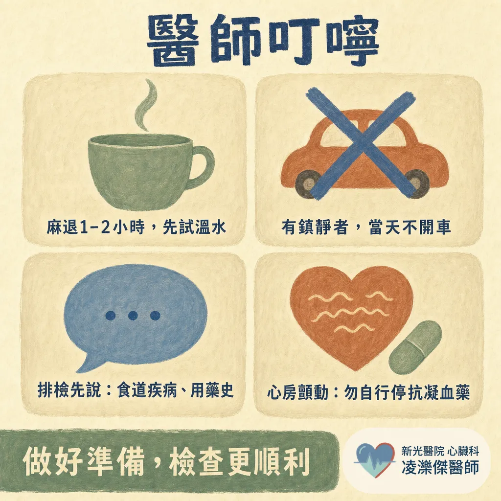 經食道心臟超音波（TEE）會不會很痛？在檢查什麼、流程與安全性一次說清楚 圖卡 8