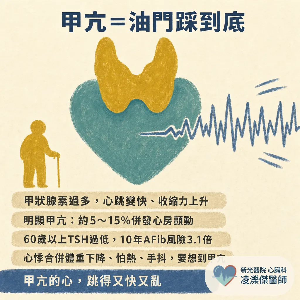 甲狀腺與心臟有關？甲亢傷心、機能低下也傷心，一次看懂雙軌機制 圖卡 2