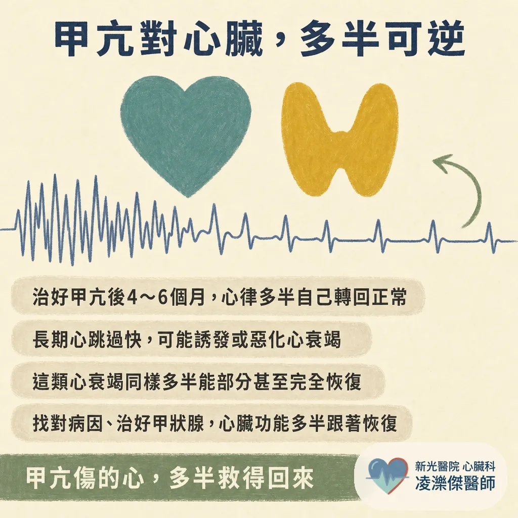 甲狀腺與心臟有關?甲亢傷心、機能低下也傷心,一次看懂雙軌機制 圖卡 3