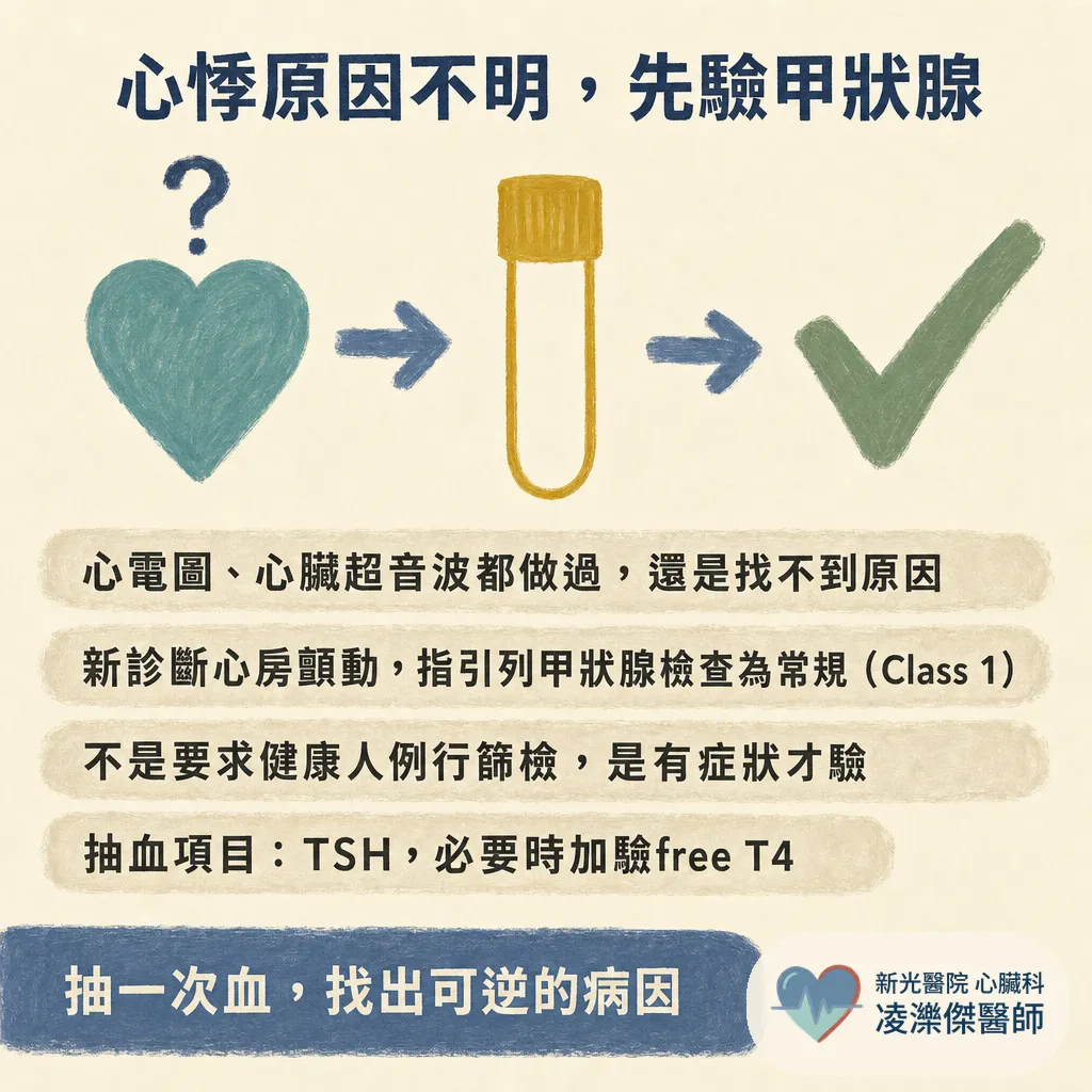 甲狀腺與心臟有關?甲亢傷心、機能低下也傷心,一次看懂雙軌機制 圖卡 6
