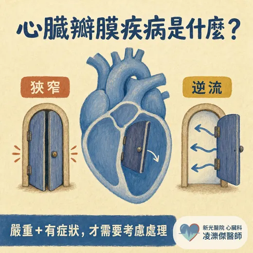 心臟瓣膜疾病是什麼？主動脈瓣狹窄、二尖瓣逆流症狀與治療白話解說