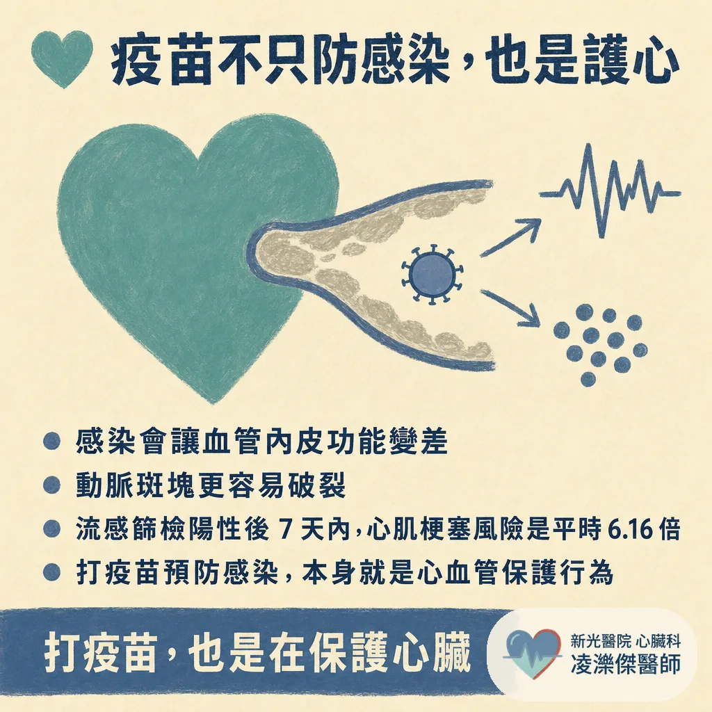 心臟病人的秋冬疫苗清單：流感、肺炎鏈球菌、帶狀疱疹一次打對 圖卡 2